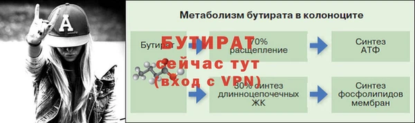 прущие крисы Бородино